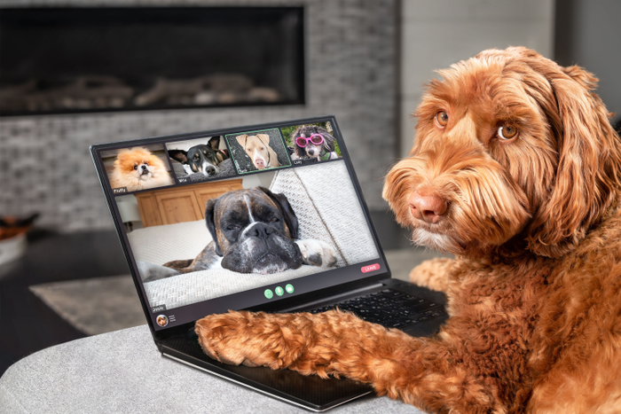 Do animals talk to each other? [KERAThink]