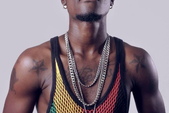 Vybrant Faya in a single