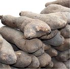 Tubers of yams