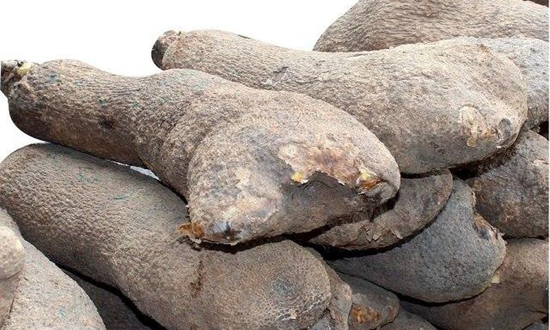 Tubers of yams in Abuja market