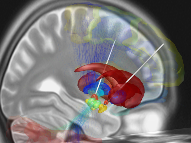 10 of the most important medical discoveries of 2018