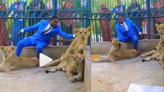 Pastor enters zoo, plays with lions to prove to church members that he’s powerful