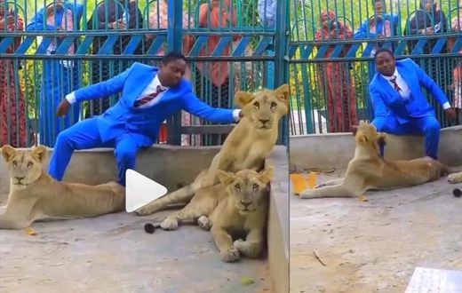 Pastor enters zoo, plays with lions to prove to church members that he’s powerful