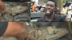 Kumasi residents catch crocodile, insist on eating it because of economic hardship