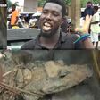 Kumasi residents catch crocodile, insist on eating it because of economic hardship