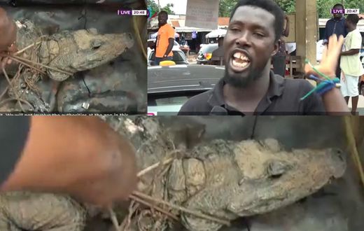 Kumasi residents catch crocodile, insist on eating it because of economic hardship