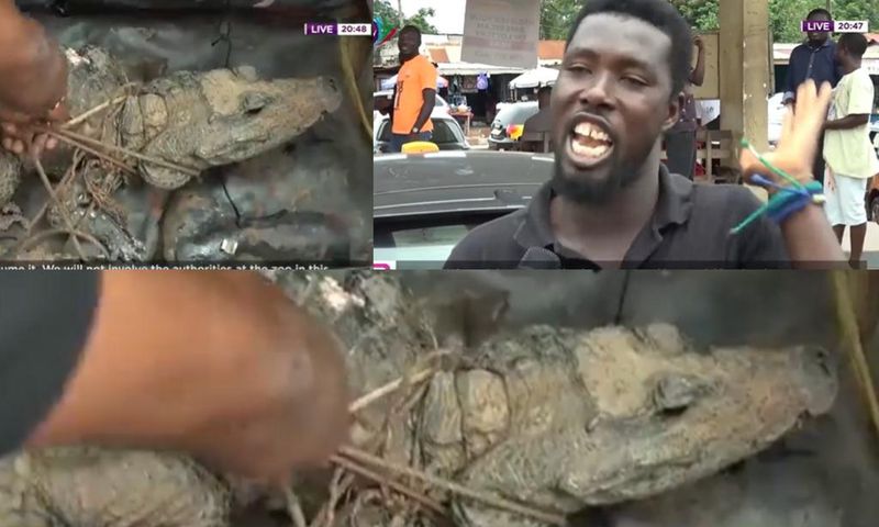 Kumasi residents catch crocodile, insist on eating it because of economic hardship