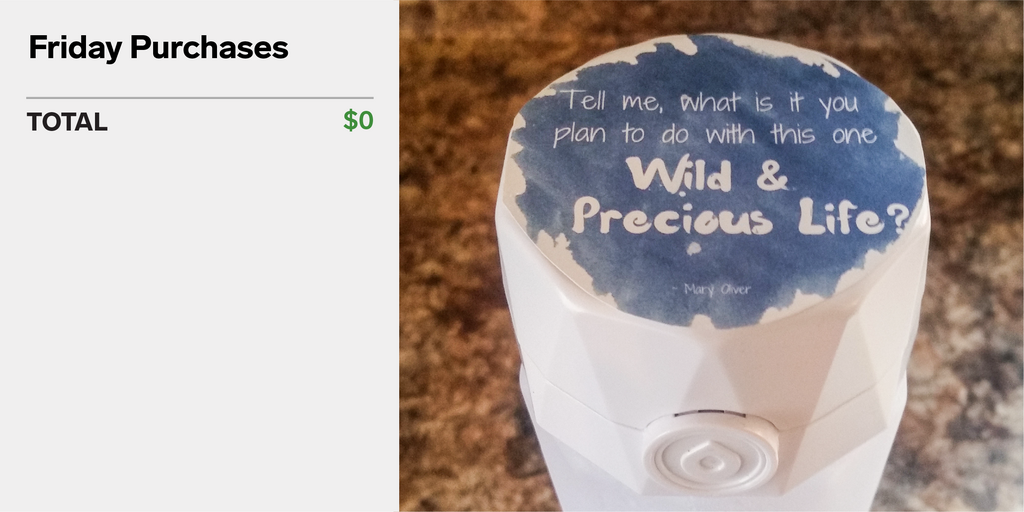 My husband and I are taking a 3-year 'mini-retirement' in our 30s. Here's what a week of spending looks like for our family of 7