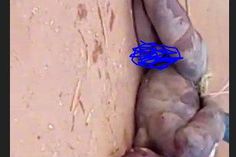 ___8836363___2018___9___10___18___st