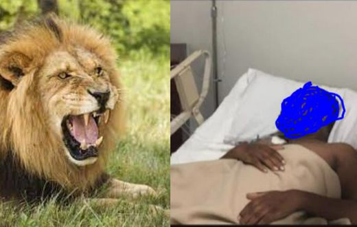 Brave husband and wife hospitalised after defeating wild lion in an attack