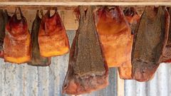 Hákarl, a Greenland fermented shark [DailyMail]