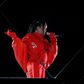 Rihanna at the Super Bowl