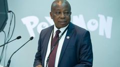 Kwaku Agyeman Manu, Health Minister