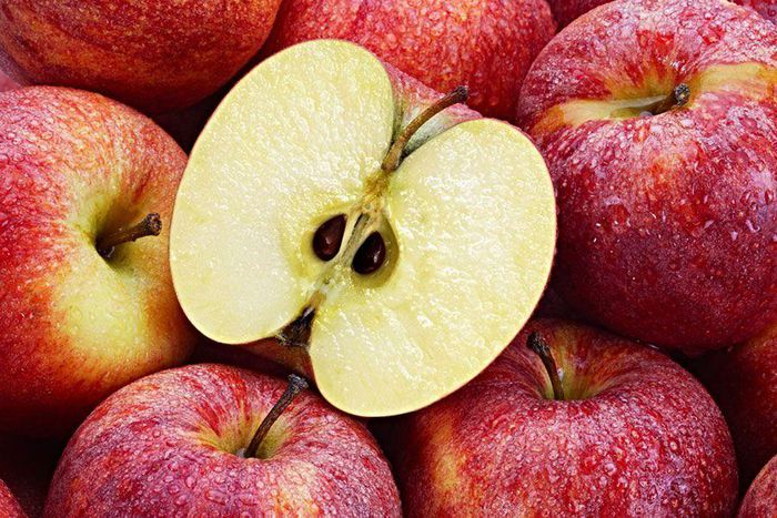 Apple seeds are not exempted [Britannica]