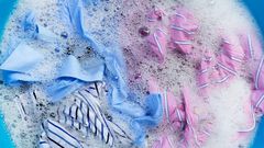 Soaked underwear- Vanish Uk