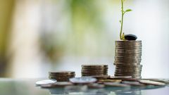 Bankman-Fried also poured money into several startups through FTX, Alameda Research, and as an angel investor, according to Crunchbase. Those include financial technology companies like TrueFi and Chipper Cash, crypto platforms like Liquid Global, and ...