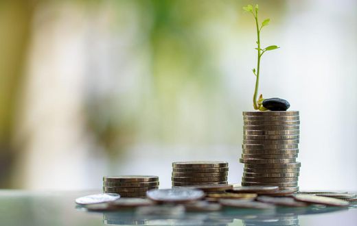 Bankman-Fried also poured money into several startups through FTX, Alameda Research, and as an angel investor, according to Crunchbase. Those include financial technology companies like TrueFi and Chipper Cash, crypto platforms like Liquid Global, and ...