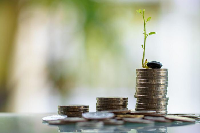 Bankman-Fried also poured money into several startups through FTX, Alameda Research, and as an angel investor, according to Crunchbase. Those include financial technology companies like TrueFi and Chipper Cash, crypto platforms like Liquid Global, and ...