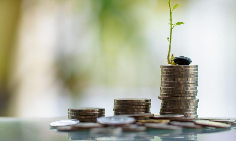 Bankman-Fried also poured money into several startups through FTX, Alameda Research, and as an angel investor, according to Crunchbase. Those include financial technology companies like TrueFi and Chipper Cash, crypto platforms like Liquid Global, and ...
