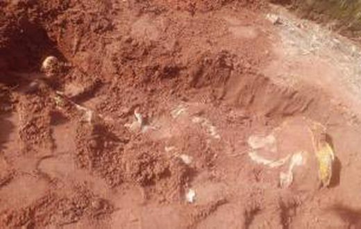 He buried his father in a shallow grave [Sahara Reporters]