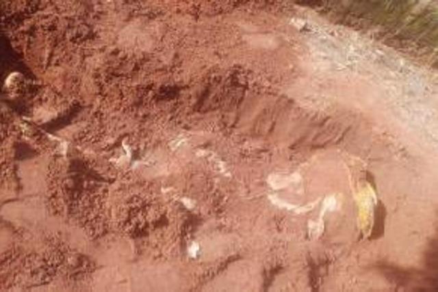 He buried his father in a shallow grave [Sahara Reporters]