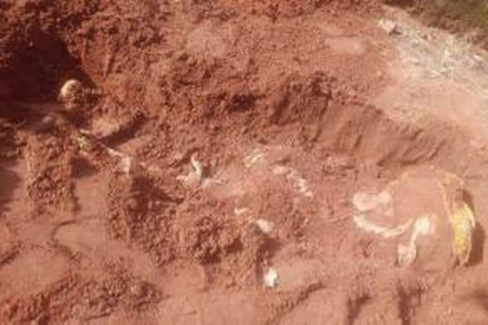 He buried his father in a shallow grave [Sahara Reporters]