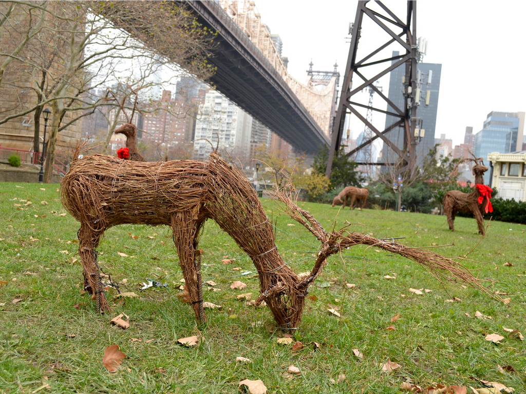 New Yorkers are paying upwards of $3,000 a month to live at the former home of an abandoned smallpox hospital and an insane asylum, and a walk through the secluded island only 250 yards from Manhattan makes it clear why