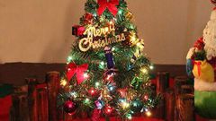 Small Christmas tree