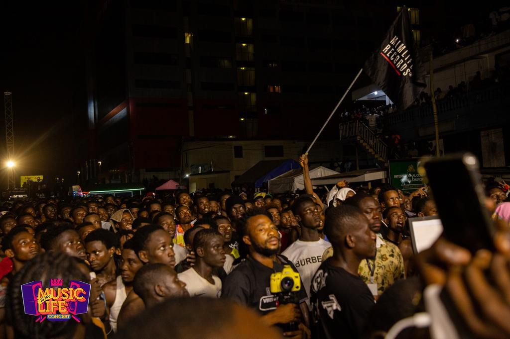 Tema Gets Groovin': Star-Studded Lineup Lights up Mimlife Concert 2024
