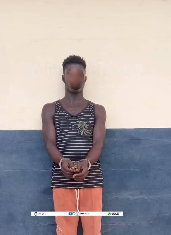 Police arrest 4