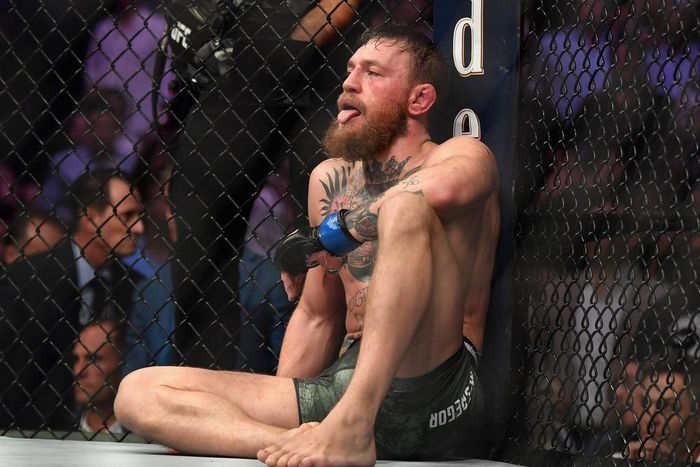 Conor McGregor, UFC 229 rematch