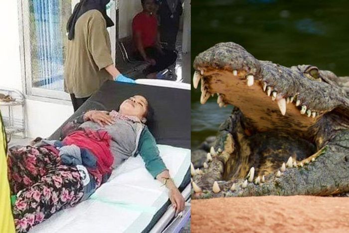 Woman survives after 90 minutes in the jaws of hungry crocodile