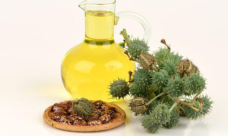 Castor oil benefits (ohthatglow)