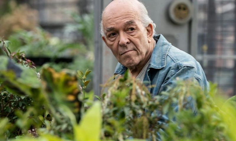 Mark Margolis
