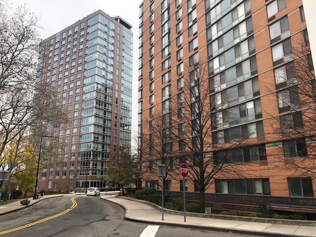 New Yorkers are paying upwards of $3,000 a month to live at the former home of an abandoned smallpox hospital and an insane asylum, and a walk through the secluded island only 250 yards from Manhattan makes it clear why