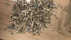 ___8945208___2018___10___6___11___5bb79f18c09ce