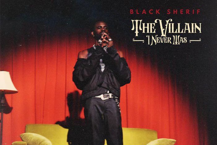 The Villain I Never Was: One Year On—A Hero’s Story