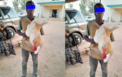 Police arrest 17-year-old boy for having sex with a cock