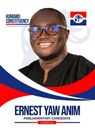Ernest Yaw Anim