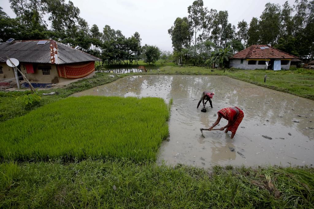 An island in India is disappearing, but some of the last residents say they can't afford to move away