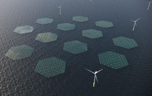 Illustration of an Offshore Wind Farm combined with floating solar, which will be constructed by Anansi off the coasts of Ningo and Anloga