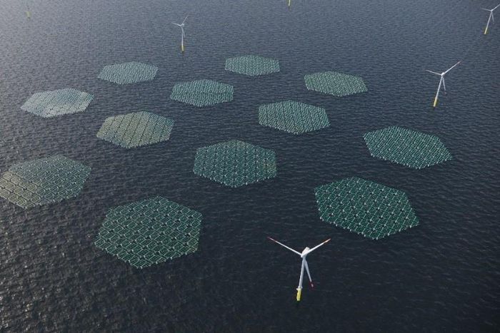 Illustration of an Offshore Wind Farm combined with floating solar, which will be constructed by Anansi off the coasts of Ningo and Anloga