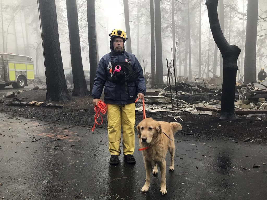 searching in paradise camp fire rain