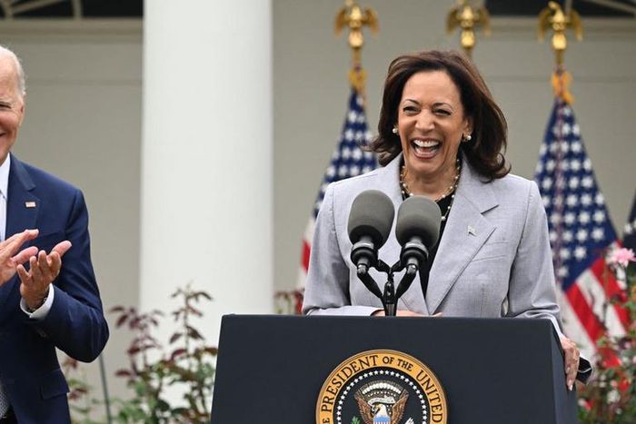 President Joe Biden (left) and Vice President Kamala Harris (right).Saul Loeb/AFP via Getty Images