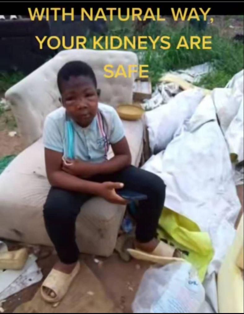 Ghanaian herbalist Dr Wiafe Akenteng claims he's cured over 3,000 kidney disease patients
