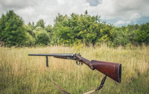 Hunter's gun