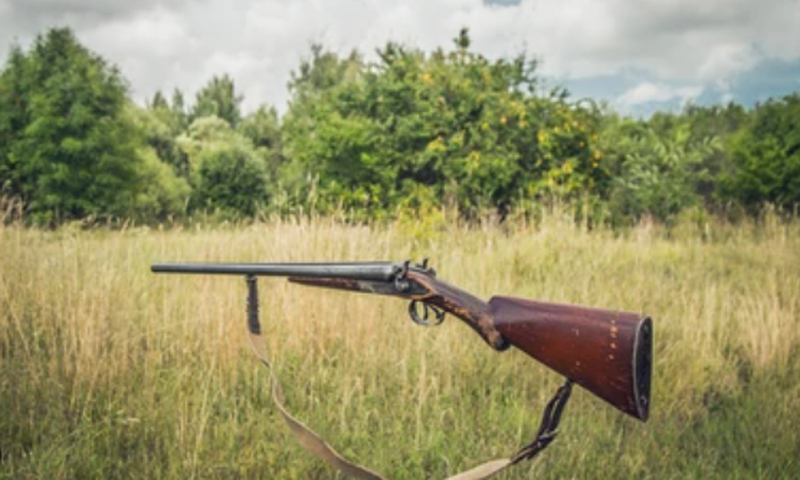 Hunter's gun