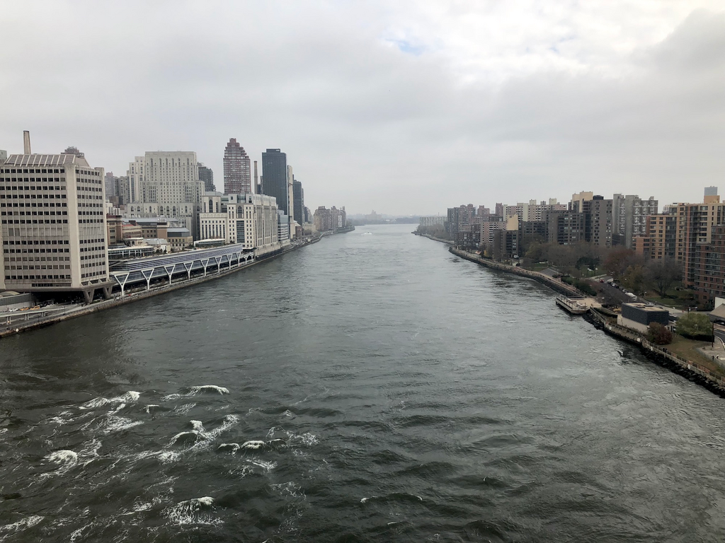 New Yorkers are paying upwards of $3,000 a month to live at the former home of an abandoned smallpox hospital and an insane asylum, and a walk through the secluded island only 250 yards from Manhattan makes it clear why