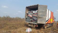 NACOC destroys GHS50 million worth of cannabis