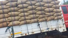 Cocoa smuggling